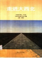 走进大西北 中央美术学院-中社网大西北纪实美术作品汇报集