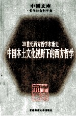 20世纪西方哲学东渐史  中国本土文化视野下的西方哲学