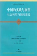 中国的实践与展望，社会转型与制度建设