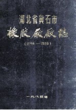 湖北省黄石市橡胶厂厂志 1958-1983