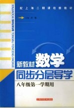 新教材数学同步分层导学