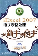 中文版Excel 2007电子表格处理从新手到高手