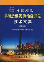 中国石化非构造低渗透油藏开发技术文集 2004