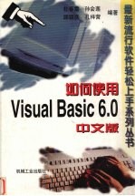 如何使用Visual Basic 6.0中文版