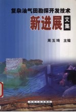 复杂油气田勘探开发技术新进展文集