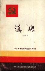 中共云南党史研究资料  第7辑  滇魂