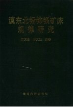 滇东北铅锌银矿床规律研究