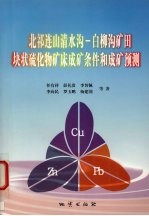 北祁连山清水沟-白柳沟矿田块状硫化物矿床成矿条件和成矿预测