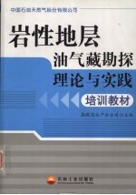 岩性地层油气藏勘探理论与实践培训教材