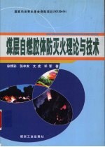 煤层自燃胶体防灭火理论与技术