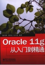 Oracle 11g从入门到精通