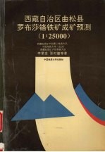 西藏自治区曲松县罗布莎铬铁矿成矿预测 1∶25000