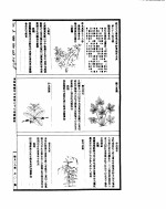 古今图书集成 博物汇编草木典 第七十八至九十一卷