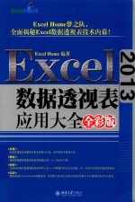 Excel 2013数据透视表应用大全  全彩版