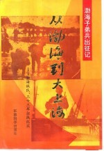 从渤海到大上海  渤海纵队、三十三军征战纪实