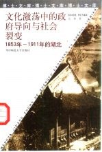 文化激荡中的政府导向与社会裂变 1853年-1911年的湖北