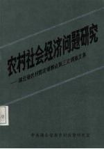 农村社会经济问题研究 湖北省农村固定观察点第三次调查文集