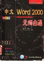 中文Excel 2000无师自通 双色版