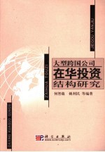 大型跨国公司在华投资结构研究