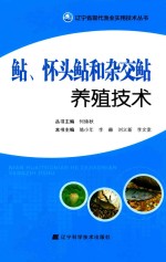 鲇、怀头鲇和杂交鲇养殖技术