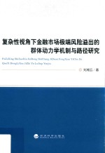 复杂性视角下金融市场极端风险溢出的群体动力学机制与路径研究