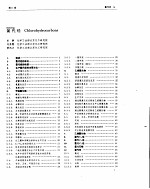 化工百科全书 氯 模