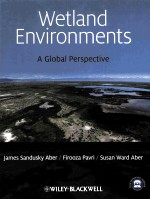 Wetland Environments:A Global Perspective