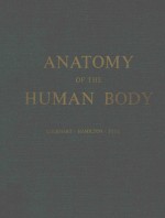 ANATOMY OF THE HUMAN BODY