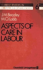 Aspects of care in labour /