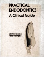 Practical endodontics : a clinical guide