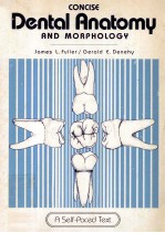 CONCISE DENTAL ANATOMY AND MORPHOLOGY