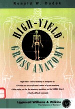 High-yield gross anatomy