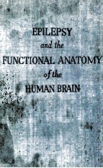 Epilepsy and the Functional Anatomy of the Human Brain