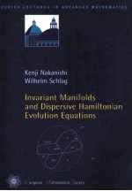 INVARIANT MANIFOLDS AND DISPERSIVE HAMILTONIAN EVOLUTION EQUATIONS