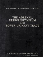 The adrenal