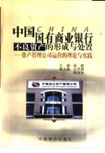 中国国有商业银行不良资产的形成与处置 资产管理公司运营的理论与实践