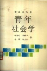 青年社会学