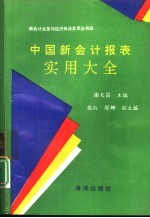 中国新会计报表实用大全