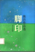 脚印 陈沂作品选