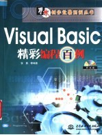 Visual Basic精彩编程百例