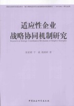 适应性企业战略协同机制研究