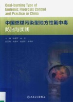 中国燃煤污染型地方性氟中毒防治与实践