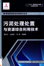 废物资源综合利用技术丛书  污泥处理处置与资源综合利用技术