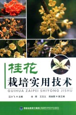 桂花栽培实用技术