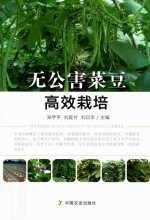 无公害菜豆高效栽培