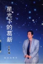 星光下的葛新