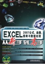 Excel 2007公式、函数、图表与数据处理从新手到高手