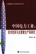 中国电力工业 技术效率与全要素生产率研究