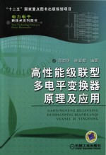 高性能级联型多电平变换器原理及应用