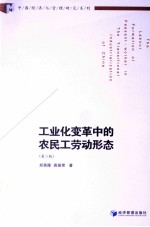 工业化变革中的农民工劳动形态 第2版